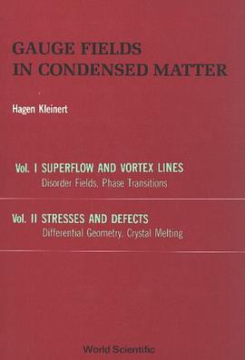 Gauge Fields in Condensed Matter pdf epub mobi 电子书 下载