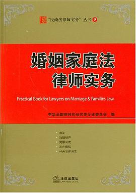 婚姻家庭法律师实务 pdf epub mobi 电子书 下载