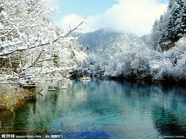 香辛料原理與應用 pdf epub mobi 下载