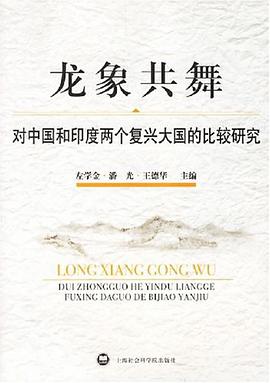 龙象共舞 pdf epub mobi 电子书 下载
