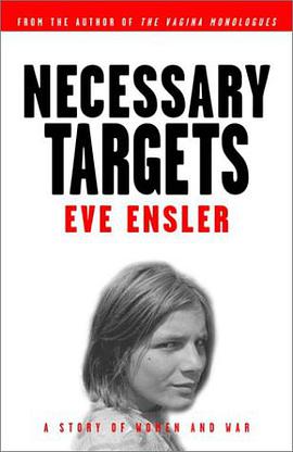 Necessary Targets pdf epub mobi 电子书 下载