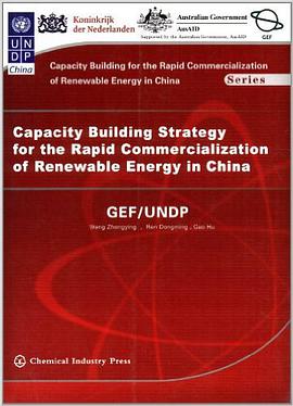 加速中国可再生能源商业化能力建设发展战略