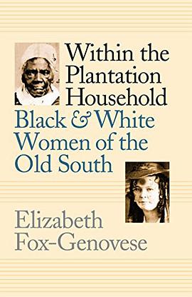 Within the Plantation Household pdf epub mobi 电子书 下载