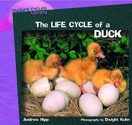 The Life Cycle of a Duck