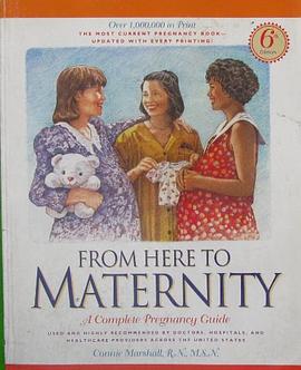 From Here to Maternity pdf epub mobi 电子书 下载