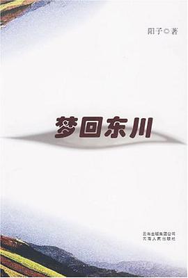 梦回东川 pdf epub mobi 电子书 下载
