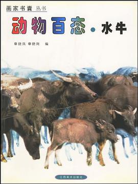 画家书囊丛书 pdf epub mobi 电子书 下载