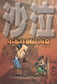 沙拉――小布什倒萨内幕 pdf epub mobi 电子书 下载