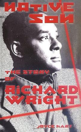 Native Son pdf epub mobi 电子书 下载