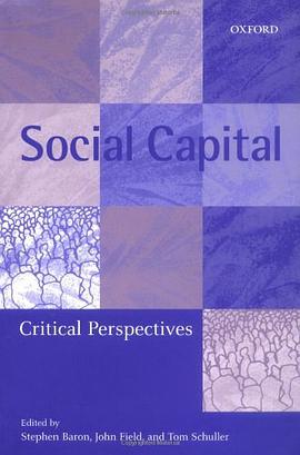 Social Capital pdf epub mobi 電子書 下載