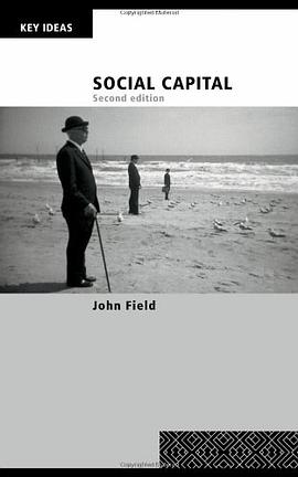 Social Capital pdf epub mobi 电子书 下载