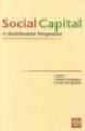 Social Capital pdf epub mobi 电子书 下载