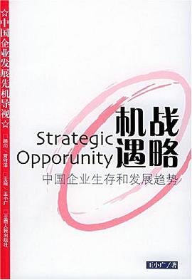 战略机遇 pdf epub mobi 电子书 下载