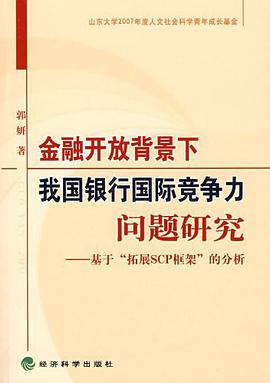 金融开放背景下我国银行国际竞争力问题研究 pdf epub mobi 电子书 下载
