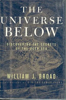 The Universe Below pdf epub mobi 电子书 下载