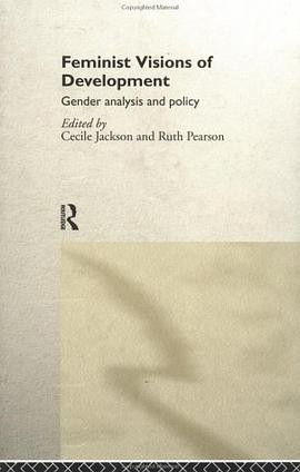 Feminist Visions of Development pdf epub mobi 电子书 下载