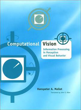 Computational Vision pdf epub mobi 电子书 下载