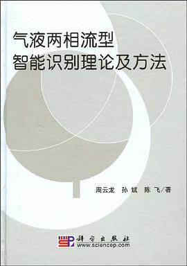气液两相流型智能识别理论及方法 pdf epub mobi 电子书 下载
