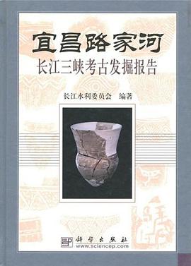 宜昌路家河 pdf epub mobi 电子书 下载