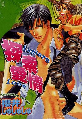 探索爱情 pdf epub mobi 电子书 下载