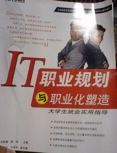 IT职业规划与职业化塑造 pdf epub mobi 电子书 下载
