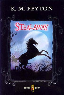 Stealaway pdf epub mobi 电子书 下载