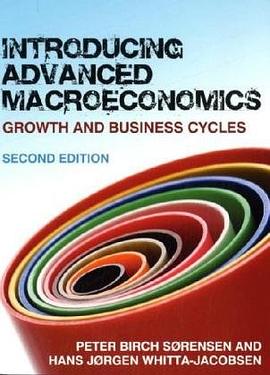 Introducing Advanced Macroeconomics pdf epub mobi 电子书 下载