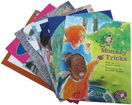 PM Library Story Books Turquoise Level 17 Set A pdf epub mobi 电子书 下载