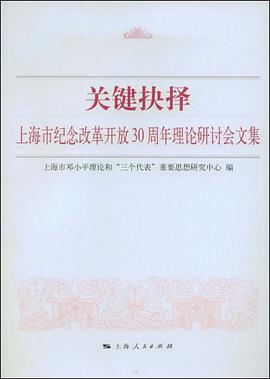 关键抉择 pdf epub mobi 电子书 下载