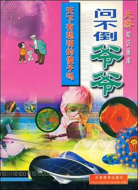 天下有聪明的傻子吗 pdf epub mobi 电子书 下载