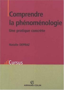 Comprendre la phénoménologie pdf epub mobi 电子书 下载