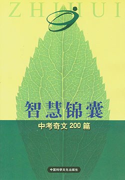 智慧锦囊
