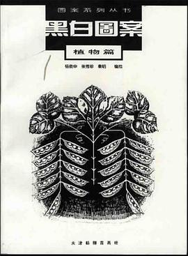 黑白图案 pdf epub mobi 电子书 下载