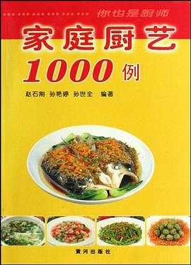 家庭厨艺1000例 pdf epub mobi 电子书 下载