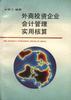 外商投资企业会计管理实用核算 pdf epub mobi 电子书 下载