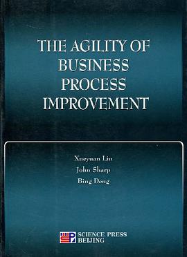 流程改进的敏捷性研究 pdf epub mobi 电子书 下载