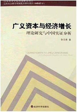 广义资本与经济增长 pdf epub mobi 电子书 下载