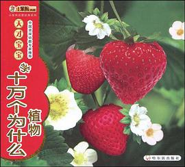 宝宝天才 pdf epub mobi 电子书 下载