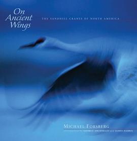 On Ancient Wings pdf epub mobi 电子书 下载