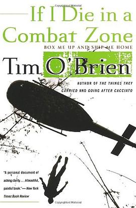 If I Die in a Combat Zone pdf epub mobi 电子书 下载