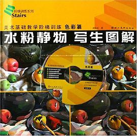 美术基础教学阶梯训练 pdf epub mobi 电子书 下载