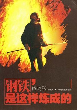 钢铁是这样炼成的 pdf epub mobi 电子书 下载