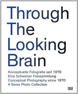 Through the Looking Brain pdf epub mobi 电子书 下载