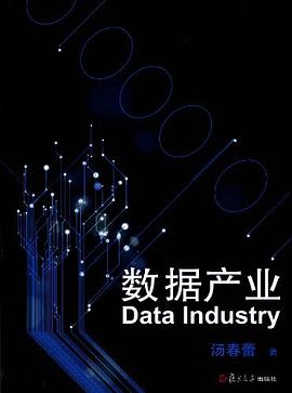 数据产业 pdf epub mobi 电子书 下载