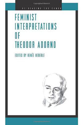 Feminist Interpretations of Theodor Adorno pdf epub mobi 电子书 下载