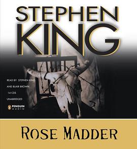 Rose Madder pdf epub mobi 电子书 下载