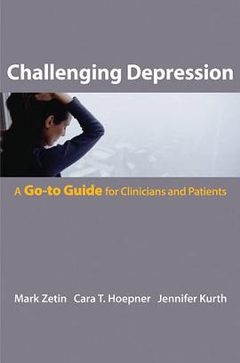 Challenging Depression pdf epub mobi 电子书 下载
