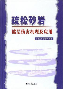 疏松砂岩储层伤害机理及应用 pdf epub mobi 电子书 下载