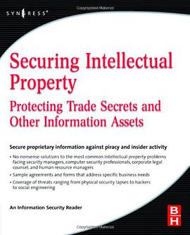 Securing  Intellectual Property pdf epub mobi 电子书 下载