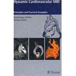 動力心血管MRI Dynamic Cardiovascular MRI pdf epub mobi 電子書 下載